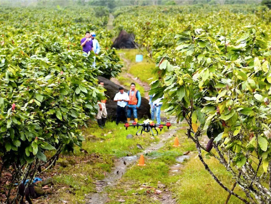 Who doesn’t love chocolate?